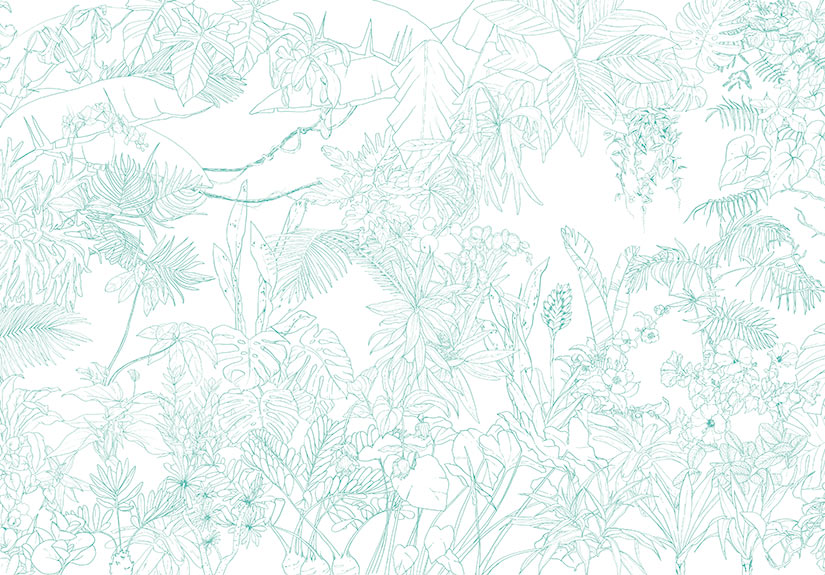 Papier peint Jungle Tropical Vert Turquoise Panoramique